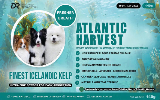 Atlantic Harvest 100% Pure Icelandic Kelp Powder