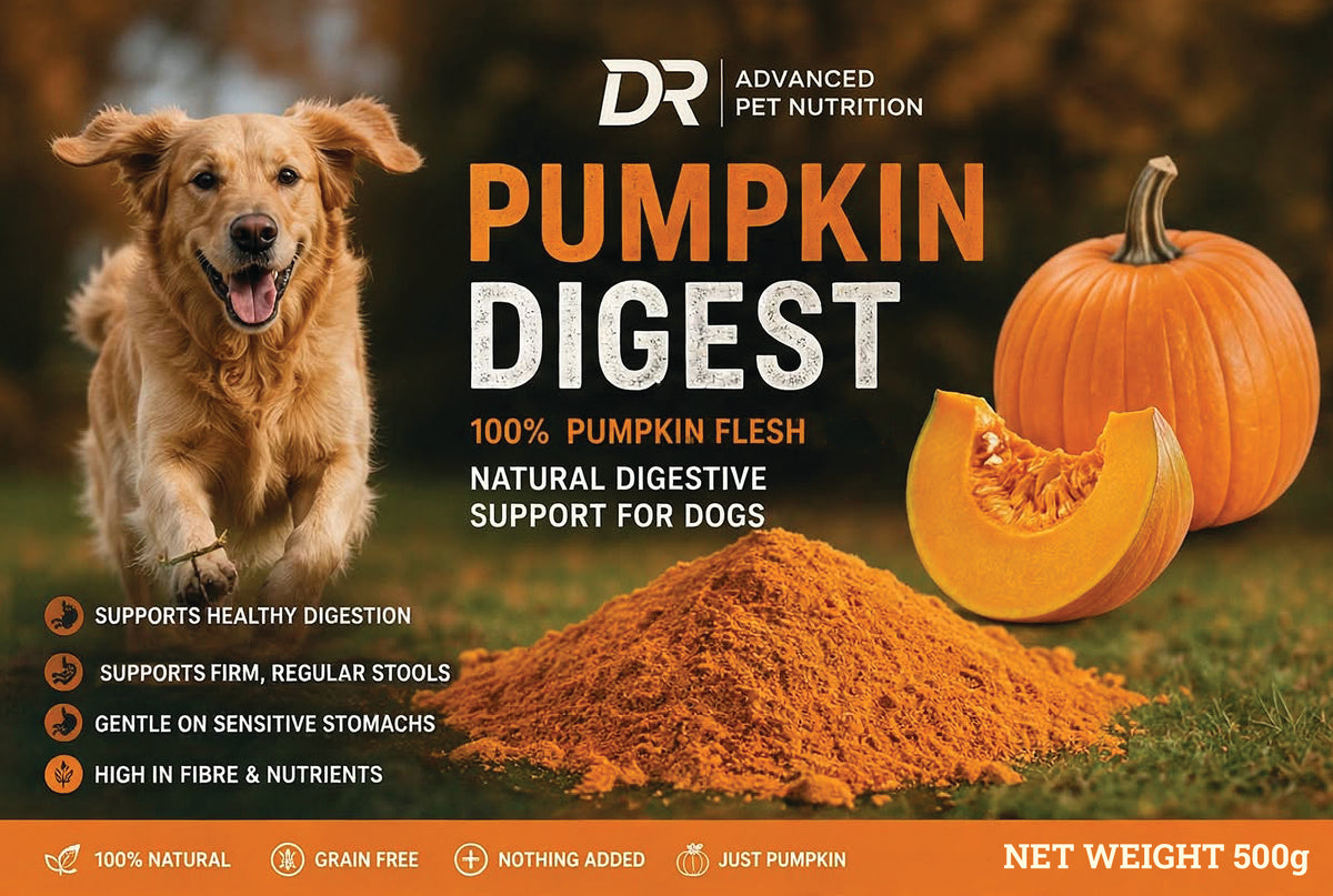 Pumpkin Digest 500g